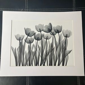 Black & White Flower Matted Print